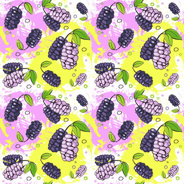 Seamless Pattern Mulberry Fruits Summer Ornament Background