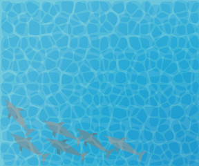 Dolphins swimming in the sea