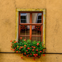 Fototapeta na wymiar Window in Jelenia Gora