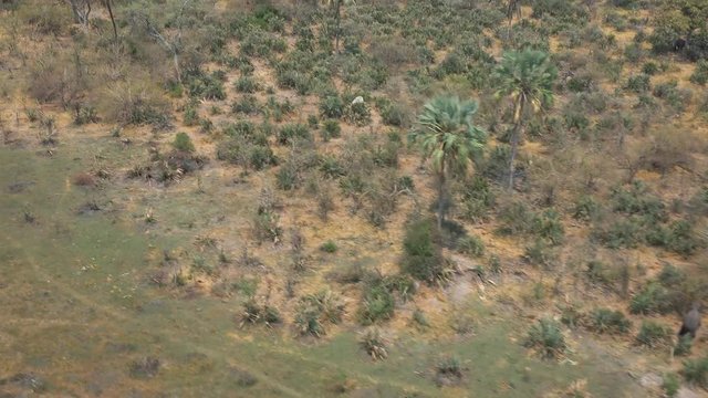 Helicopter Safari in the Okavango Delta (Botswana; 4k footage)