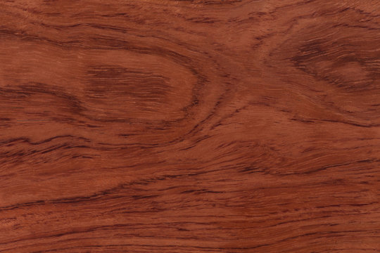 Redwood background or texture.