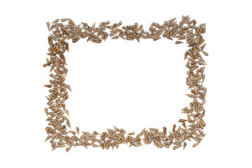 貝殻のフレーム