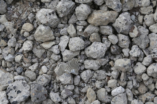 abruch beton