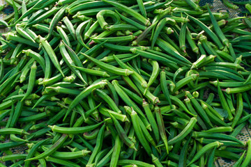 Okra at Farmers Market