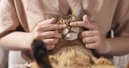 Teen girl with sad abyssinian cat on knees sitting on couch