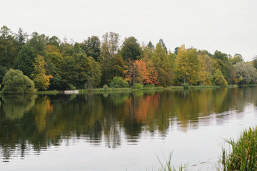Fototapeta premium autumn trees with reflection in a small lake in cludy morning