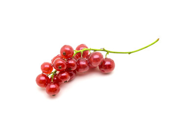Brush of fresh red currant on white background