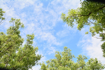 Blue sky