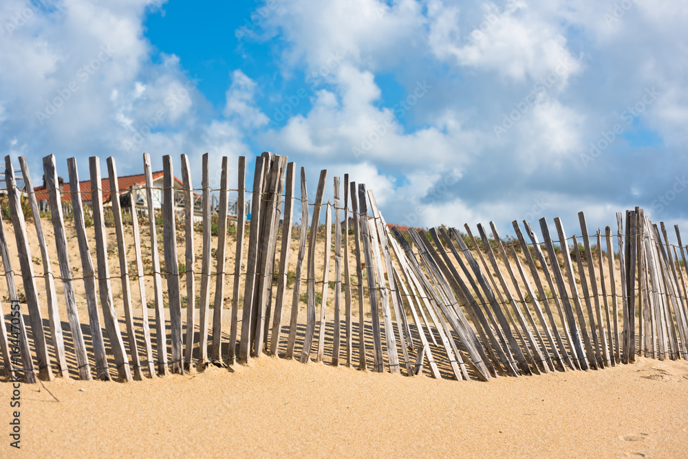 Wall mural Wooden fence on Atlantic beach in France