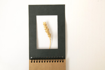 Ear of wheat in a black paper frame of notepad close up on white background.