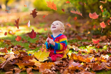 Child in fall park. Kid with autumn leaves.