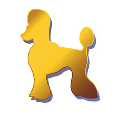 Silhouette of gold dog isolated on white background. Breed poodle.
