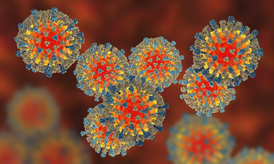 Measles viruses. 3D illustration showing structure of measles virus with surface glycoprotein spikes heamagglutinin-neuraminidase and fusion protein