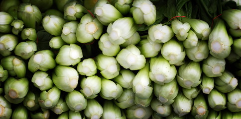 White cabbage in market