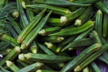 Green Abelmoschus