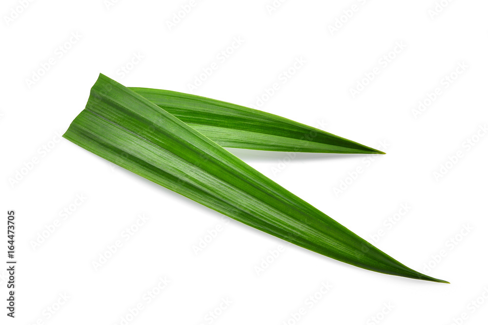 Wall mural fresh green pandan leaves isolated on white background