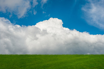 Obraz na płótnie Canvas Cloudy sky and green grass in nature concept