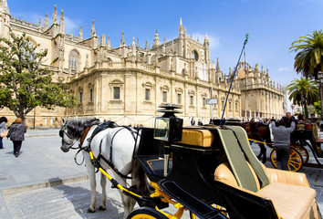 Obraz premium The Cathedral of Saint Mary of the See in Seville