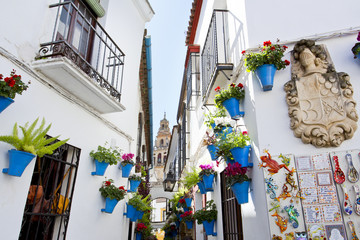 Flowers in flowerpot on the white walls on famous Flower street Calleja de las Flores in old Jewish quarter of Cordoba, Andalusia