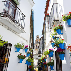 Flowers in flowerpot on the white walls on famous Flower street Calleja de las Flores in old Jewish quarter of Cordoba, Andalusia