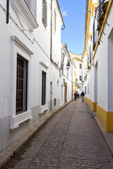 Fototapeta na wymiar Typical white buildings of Cordoba