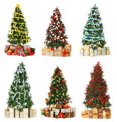 Collage of beautiful Christmas trees on white background. Trendy ideas for festive decor
