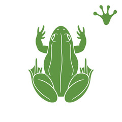 Green toad. Abstract toad on white background