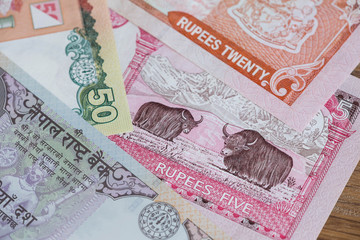 Nepal rupee money