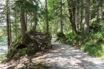 Rundwanderweg am Eibsee in Bayern