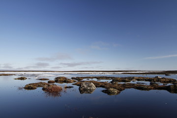 Arctic landscape with blue skies and red tundra
