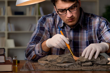 Archeologist working late night in office