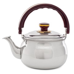 Small metallic kettle isolated on white background / Teapot with brown handle