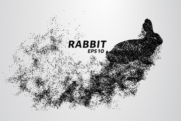 Fototapeta na wymiar Rabbit from the particles. Rabbit consists of circles and points. Vector illustration.