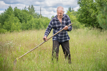 Portrait of an elderly gray-haired man who mows scythe grass in a meadow. Traditional way of mowing...