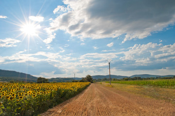Fototapeta na wymiar rural countryside landscape