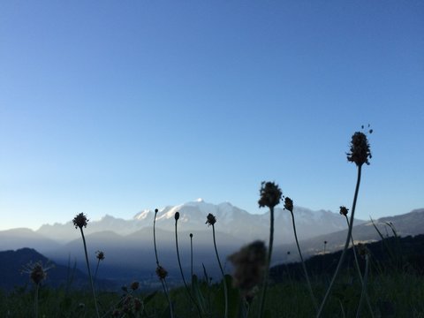 Mont Blanc arri&egrave;re plan