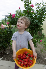 Child with plate of strawberry