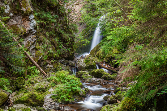 Ravennaschlucht Black Forest Schwarzwald