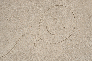 baloon drawing in sand