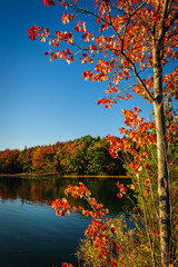 Red leaves on lake near Kennebunkport, Maine