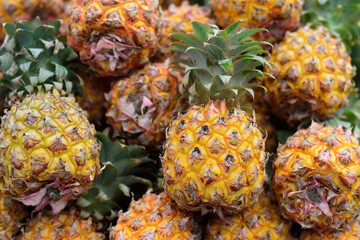Stacks of fresh whole pineapple fruits at Israel farmers market in Jerusalem