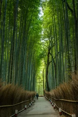Papier Peint photo Lavable Bambou Forêt de bambous, Japon