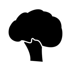 Broccoli black icon .