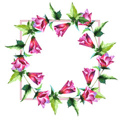 Wildflower flower frame in a watercolor style. Full name of the plant: watercolor flower. Aquarelle wild flower for background, texture, wrapper pattern, frame or border.