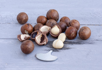Macadamia is an Australian nut, a Kindal. On a wooden fob is a gray-blue color.