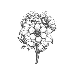 Hand drawn flower bouquet in sketch style. Vector plants - 164497358