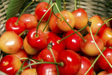 Cherries in a Basket Close Up