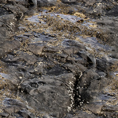Seamless Texture of Rocks and Stones to create infinite backgrounds