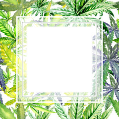 Wildflower cannabis flower frame in a watercolor style. Full name of the plant:cannabis. Aquarelle wild flower for background, texture, wrapper pattern, frame or border.