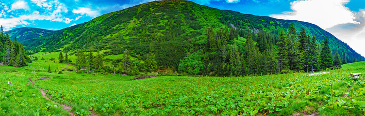 Fototapeta na wymiar Majestic beautiful mountain valley on a summer day with clouds and blue sky